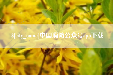 绵阳中国消防公众号app下载