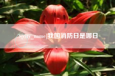 绵阳我国消防日是哪日