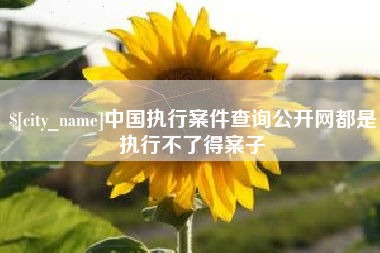 绵阳中国执行案件查询公开网都是执行不了得案子