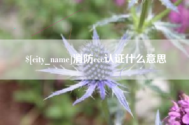 绵阳消防ccc认证什么意思