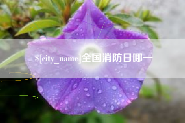 绵阳全国消防日哪一