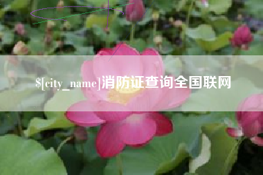 绵阳消防证查询全国联网