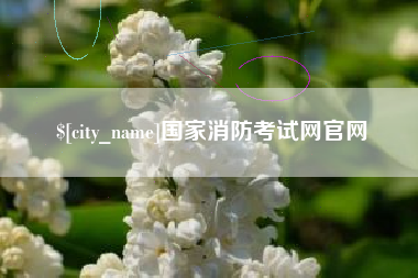 绵阳国家消防考试网官网