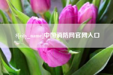 绵阳中国消防网官网入口