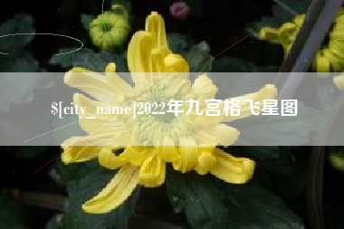 绵阳2022年九宫格飞星图