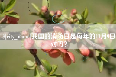 绵阳我国的消防日是每年的11月9日对吗？