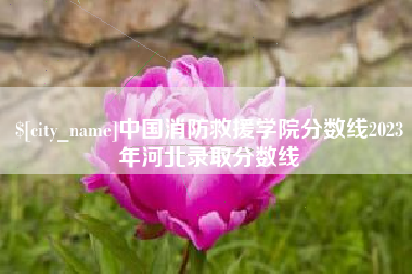 绵阳中国消防救援学院分数线2023年河北录取分数线