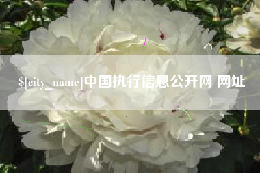 绵阳中国执行信息公开网 网址