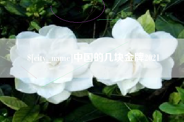 绵阳中国的几块金牌2021