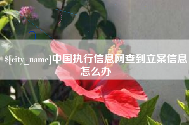 绵阳中国执行信息网查到立案信息怎么办