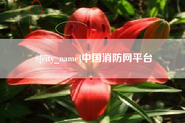 绵阳中国消防网平台