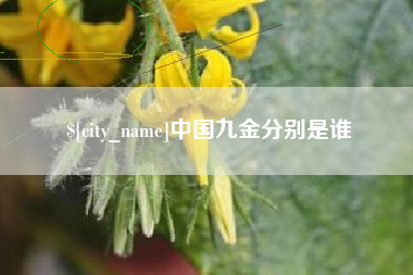 绵阳中国九金分别是谁