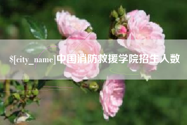 绵阳中国消防救援学院招生人数
