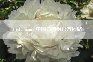 绵阳中国消防网官方网站
