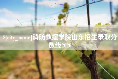 绵阳消防救援学院山东招生录取分数线2020