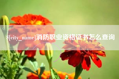 绵阳消防职业资格证书怎么查询