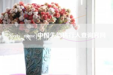 绵阳中国失信执行人查询官网
