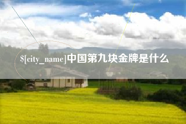 绵阳中国第九块金牌是什么