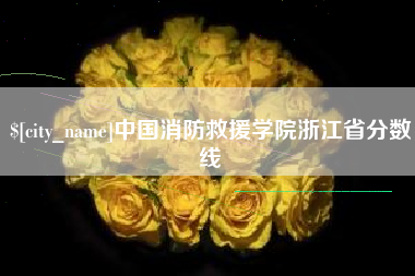 绵阳中国消防救援学院浙江省分数线