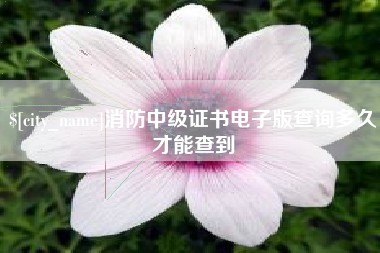 绵阳消防中级证书电子版查询多久才能查到