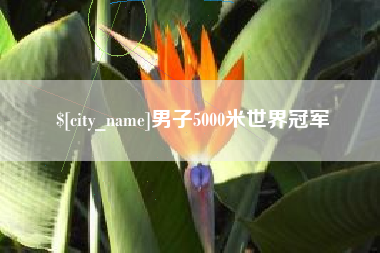 绵阳男子5000米世界冠军