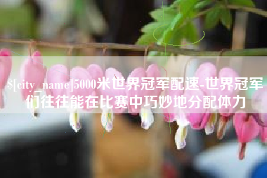 绵阳5000米世界冠军配速-世界冠军们往往能在比赛中巧妙地分配体力