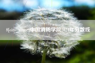 绵阳中国消防学院2024年分数线