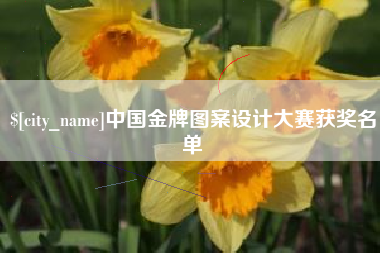 绵阳中国金牌图案设计大赛获奖名单