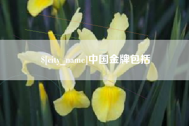 绵阳中国金牌包括