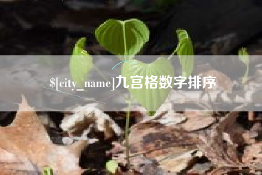 绵阳九宫格数字排序