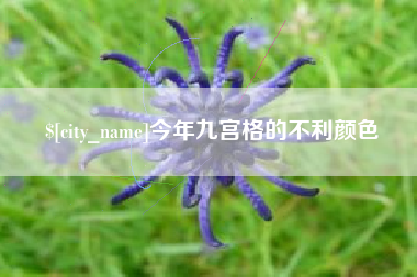 绵阳今年九宫格的不利颜色