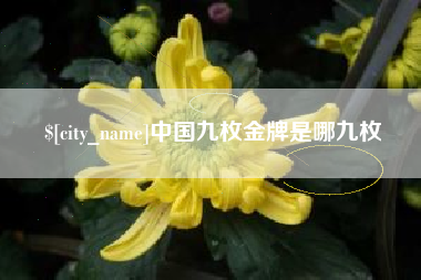 绵阳中国九枚金牌是哪九枚