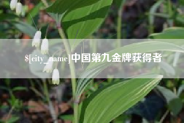 绵阳中国第九金牌获得者