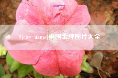 绵阳中国金牌图片大全
