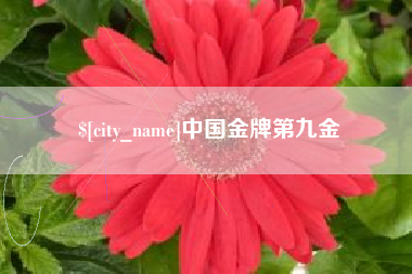 绵阳中国金牌第九金