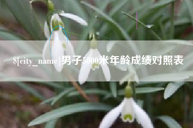 绵阳男子5000米年龄成绩对照表