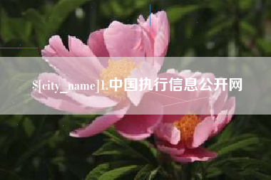 绵阳1.中国执行信息公开网