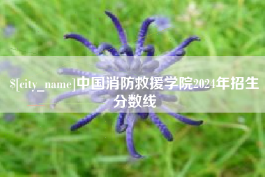 绵阳中国消防救援学院2024年招生分数线