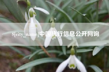 绵阳中国执行信息公开网询