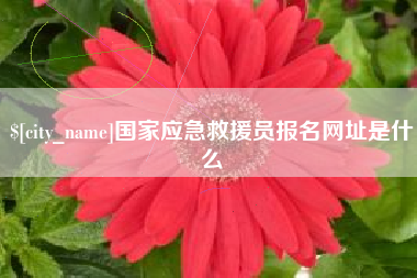 绵阳国家应急救援员报名网址是什么