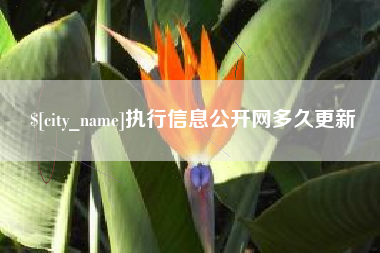 绵阳执行信息公开网多久更新