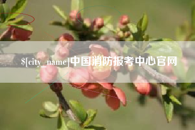 绵阳中国消防报考中心官网