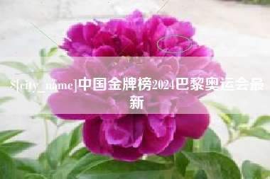 绵阳中国金牌榜2024巴黎奥运会最新
