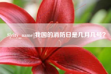 绵阳我国的消防日是几月几号？