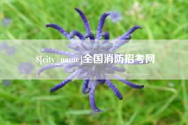 绵阳全国消防招考网
