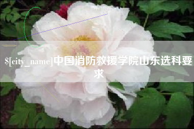 绵阳中国消防救援学院山东选科要求