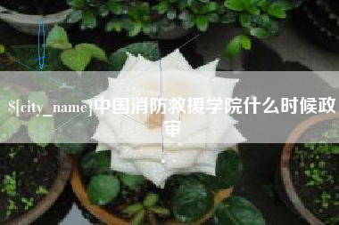 绵阳中国消防救援学院什么时候政审