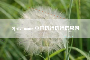 绵阳中国执行执行信息网