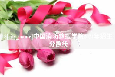 绵阳中国消防救援学院2021年招生分数线