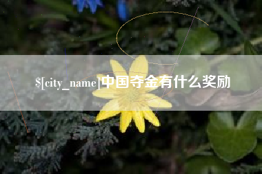 绵阳中国夺金有什么奖励